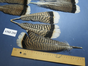 8 Pairs Turkey Feathers, Tail Feathers, Fly Tying Materials, Natural Feathers (AMZ-295)