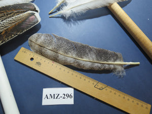 10 Pairs Turkey Wing Feathers, Amazing Feathers, Fly Tying Materials,(AMZ-296)