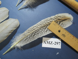 10 Pairs Turkey Wing Feathers, Amazing Feathers, Fly Tying Materials,(AMZ-297)