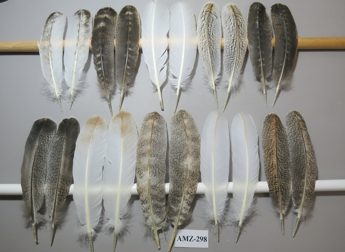 10 Pairs Turkey Wing Feathers, Amazing Feathers, Fly Tying Materials,(AMZ-298)