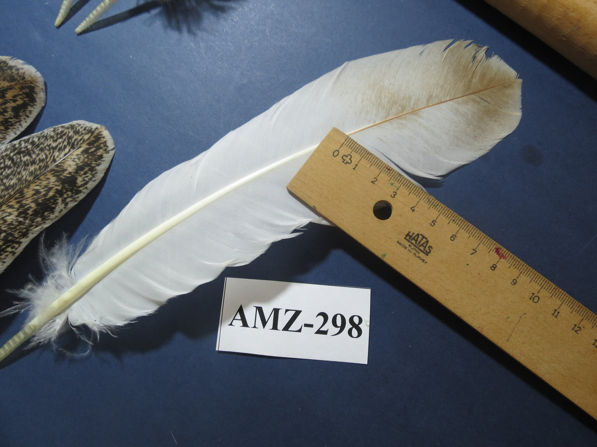 10 Pairs Turkey Wing Feathers, Amazing Feathers, Fly Tying Materials,(AMZ-298)