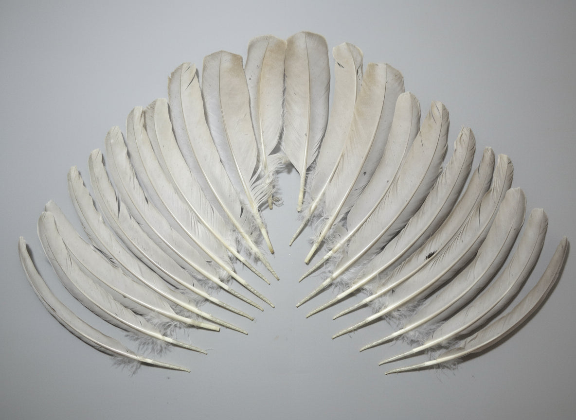 22 Pcs Lilac Natural Turkey Wing Feathers, Fly Tying Materials, (1659)