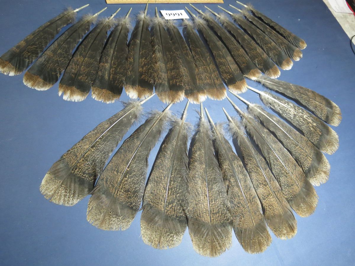 24 Pcs Brown Turkey Tail Feathers, Fly Tying Materials,Rare Feathers (1666)