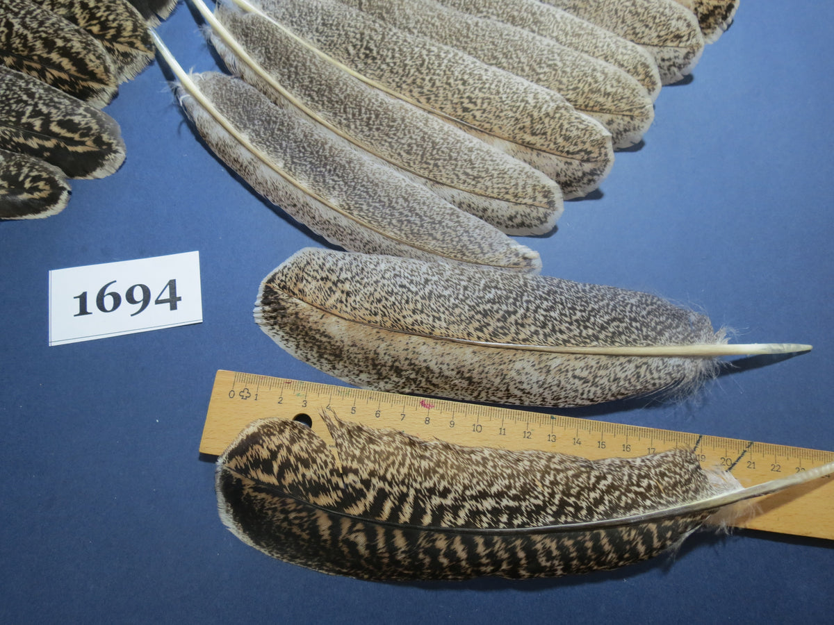 32 Pcs Natural Turkey Wing Feathers, Fly Tying Materials, Long Feathers. (1694)