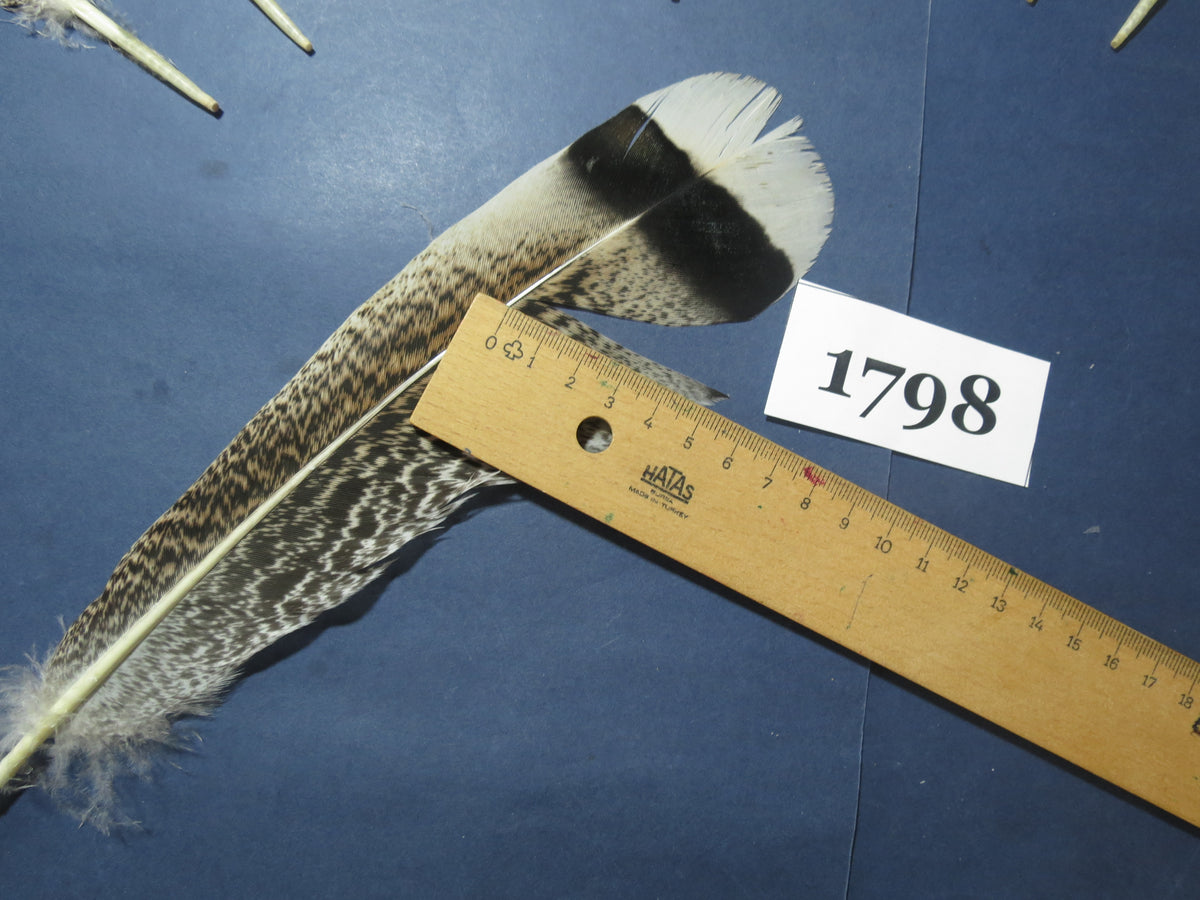 14 Pcs Natural Turkey Tail Feathers, Fly Tying Materials,Long Feathers. (1798)