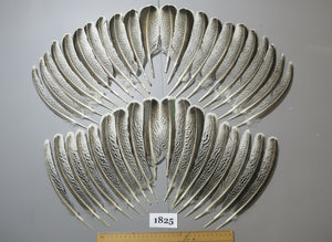 40 Pcs Natural Turkey Wing Feathers, Fly Tying Materials, Long Feathers. (1825)