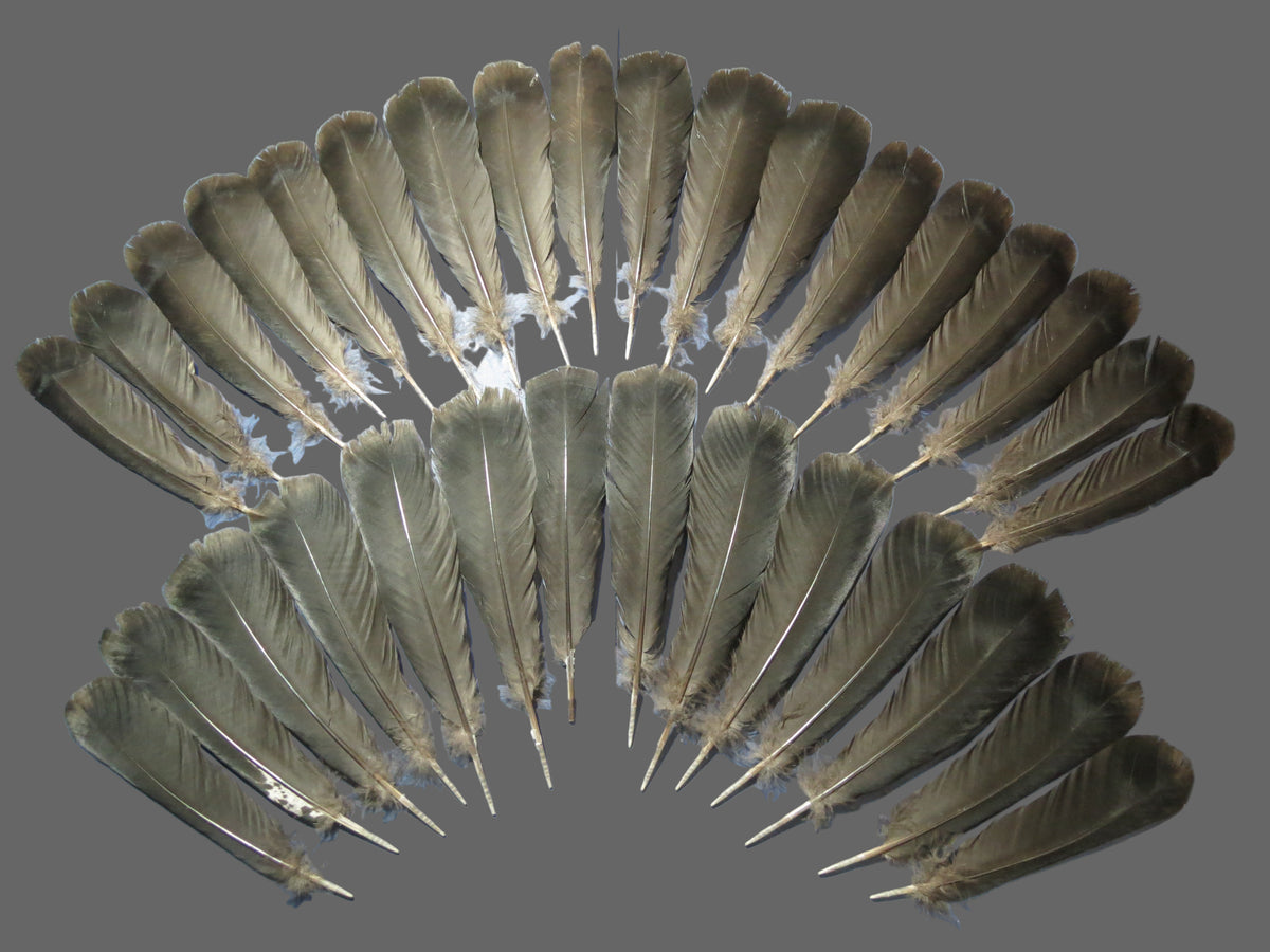 32 Pcs Black Turkey Tail Feathers, Fly Tying Materials,Long Feathers. (1830)