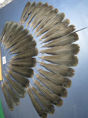 32 Pcs Black Turkey Tail Feathers, Fly Tying Materials,Long Feathers. (1830)