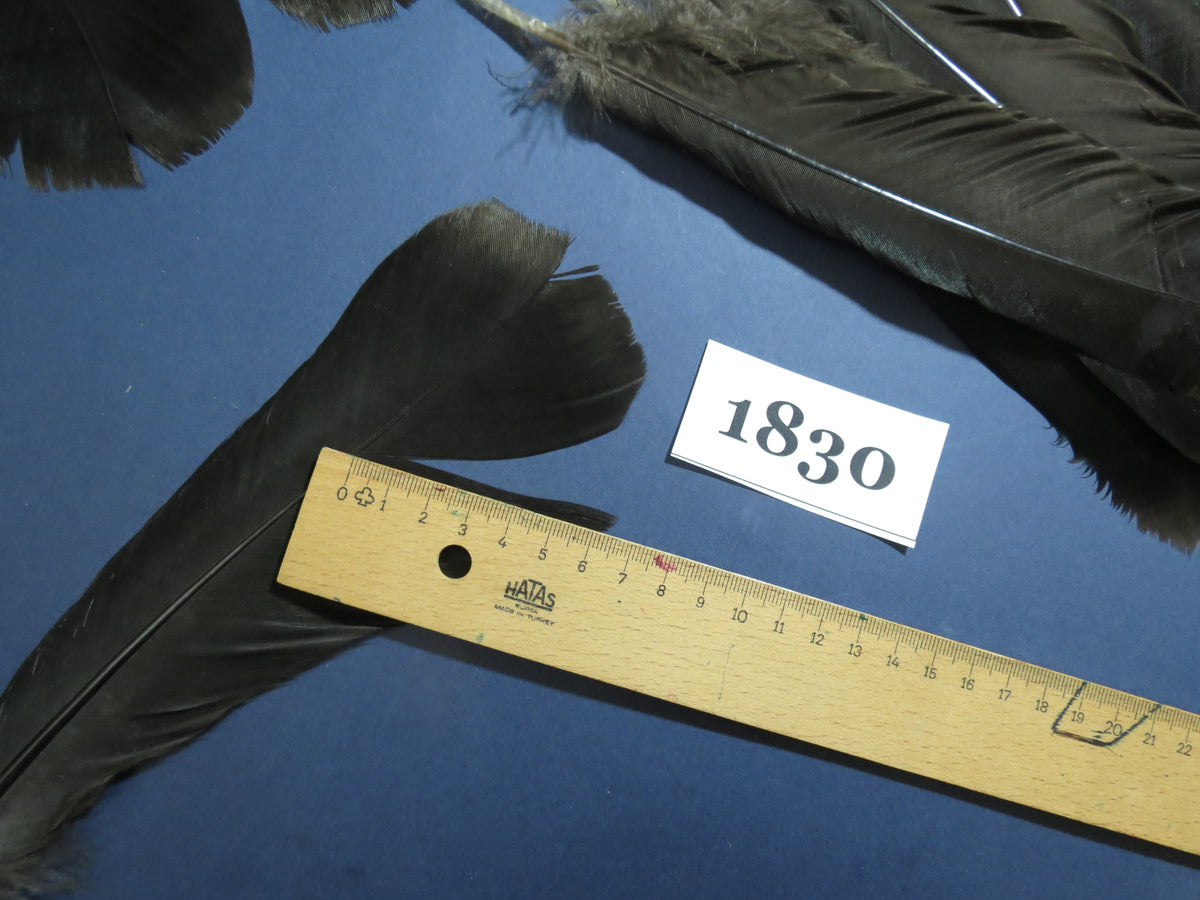 32 Pcs Black Turkey Tail Feathers, Fly Tying Materials,Long Feathers. (1830)
