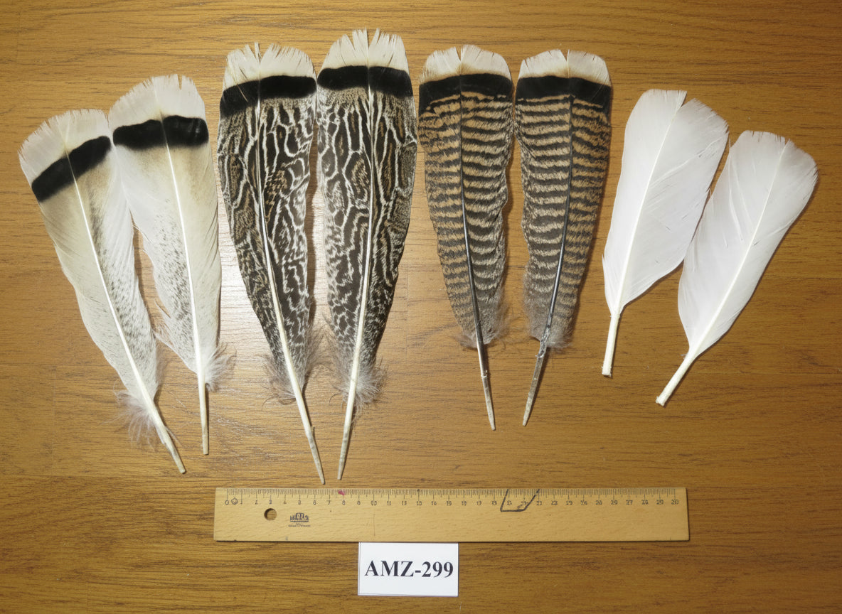 4 Pairs Of Turkey Feathers, Tail Feathers, Fly Tying Materials, Genuine Feathers (AMZ-299)