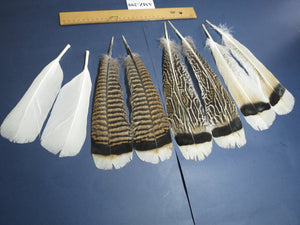 4 Pairs Of Turkey Feathers, Tail Feathers, Fly Tying Materials, Genuine Feathers (AMZ-299)