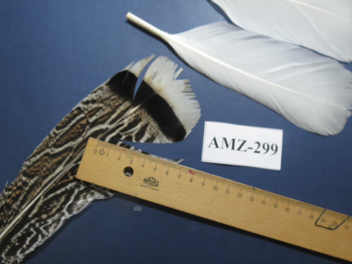 4 Pairs Of Turkey Feathers, Tail Feathers, Fly Tying Materials, Genuine Feathers (AMZ-299)