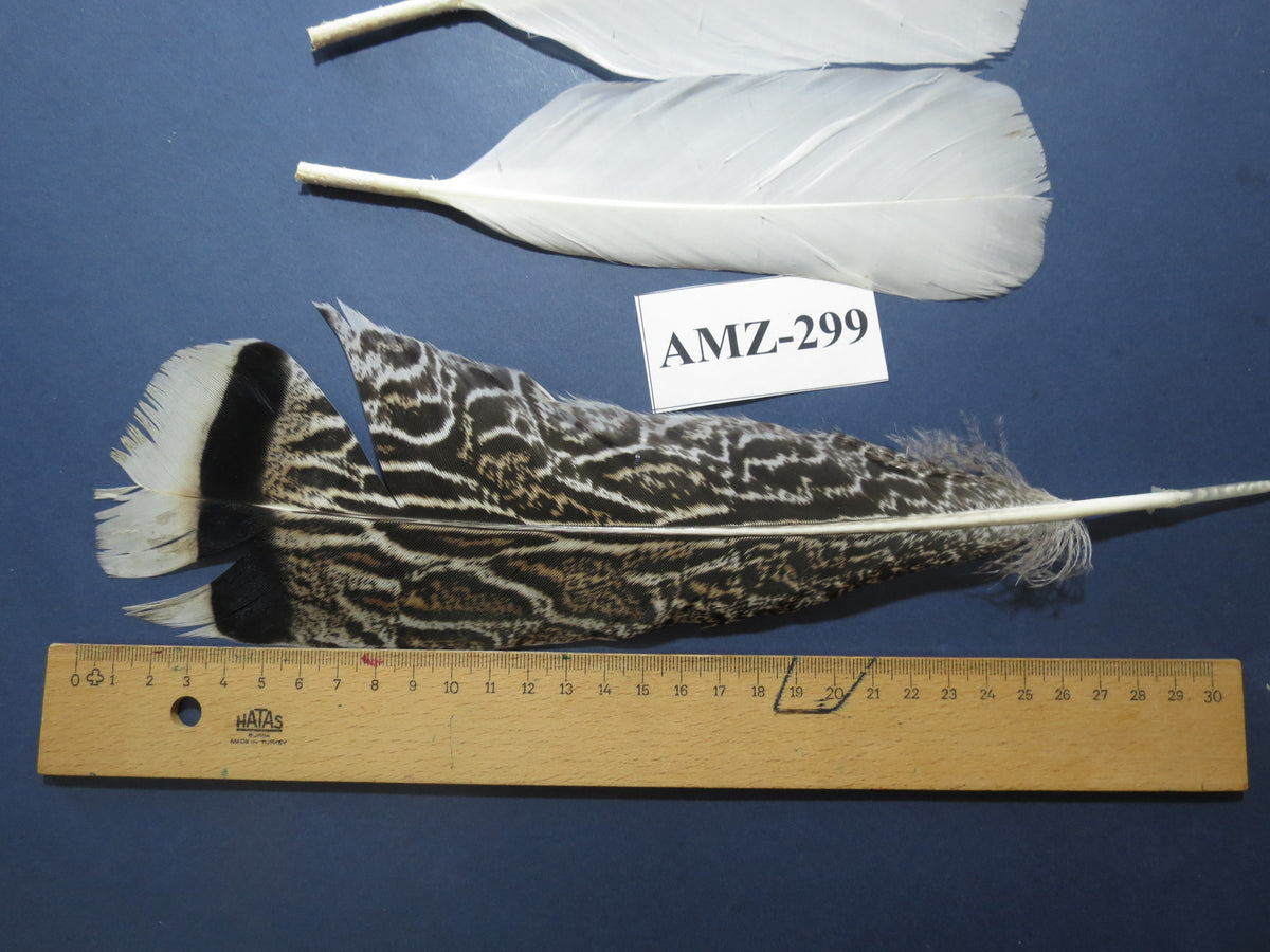 4 Pairs Of Turkey Feathers, Tail Feathers, Fly Tying Materials, Genuine Feathers (AMZ-299)
