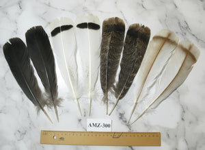 4 Pairs Of Turkey Feathers, Tail Feathers, Fly Tying Materials, Genuine Feathers (AMZ-300)