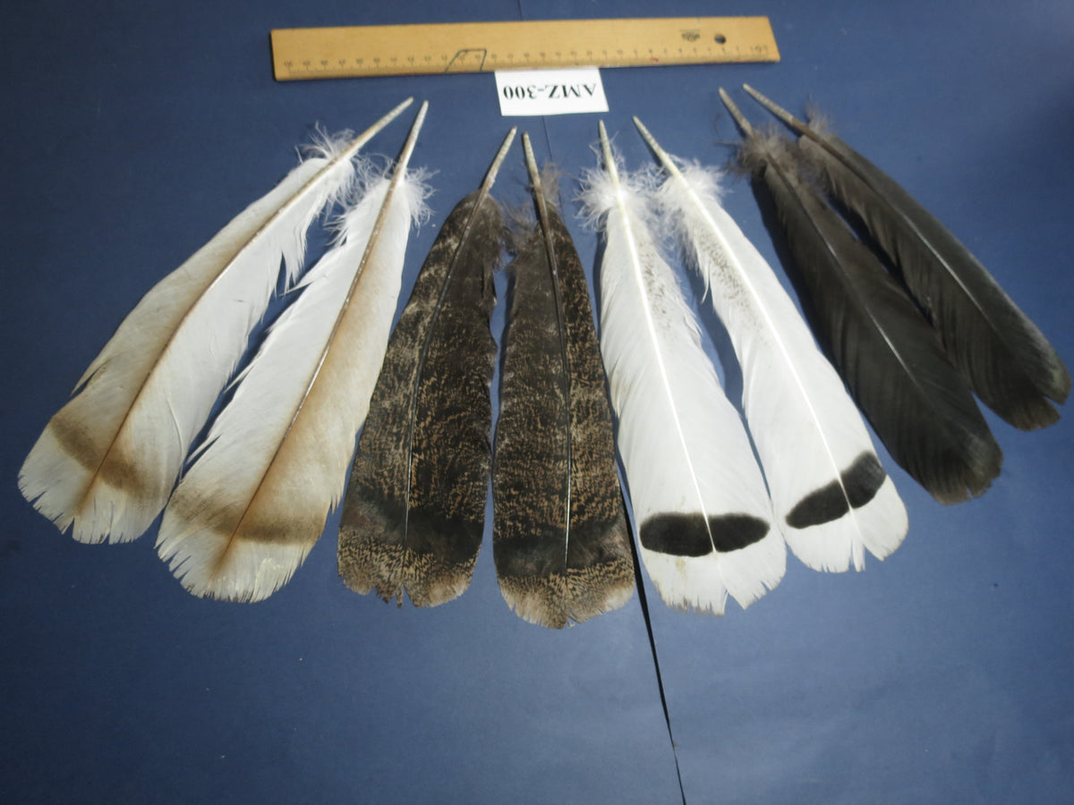 4 Pairs Of Turkey Feathers, Tail Feathers, Fly Tying Materials, Genuine Feathers (AMZ-300)