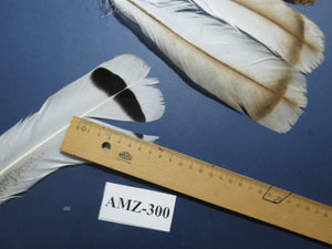4 Pairs Of Turkey Feathers, Tail Feathers, Fly Tying Materials, Genuine Feathers (AMZ-300)