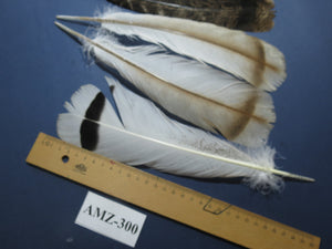 4 Pairs Of Turkey Feathers, Tail Feathers, Fly Tying Materials, Genuine Feathers (AMZ-300)