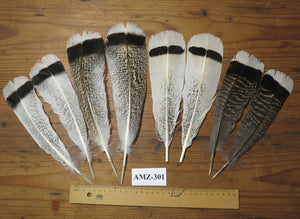 4 Pairs Of Turkey Feathers, Tail Feathers, Fly Tying Materials, Genuine Feathers (AMZ-301)