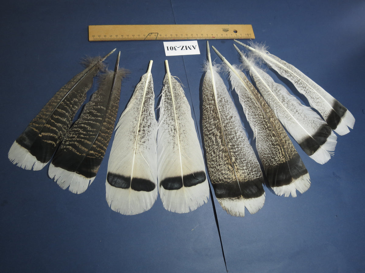 4 Pairs Of Turkey Feathers, Tail Feathers, Fly Tying Materials, Genuine Feathers (AMZ-301)