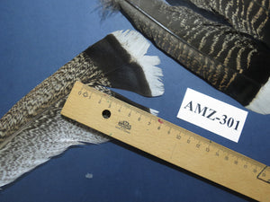 4 Pairs Of Turkey Feathers, Tail Feathers, Fly Tying Materials, Genuine Feathers (AMZ-301)