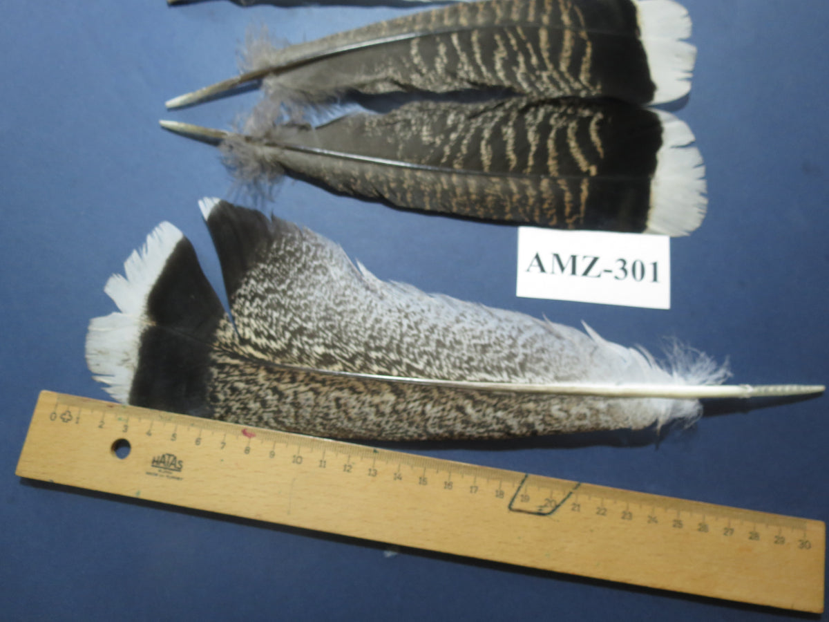 4 Pairs Of Turkey Feathers, Tail Feathers, Fly Tying Materials, Genuine Feathers (AMZ-301)