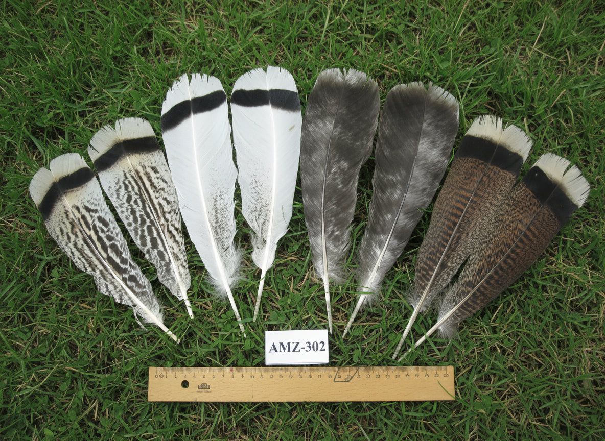 4 Pairs Of Turkey Feathers, Tail Feathers, Fly Tying Materials, Genuine Feathers (AMZ-302)