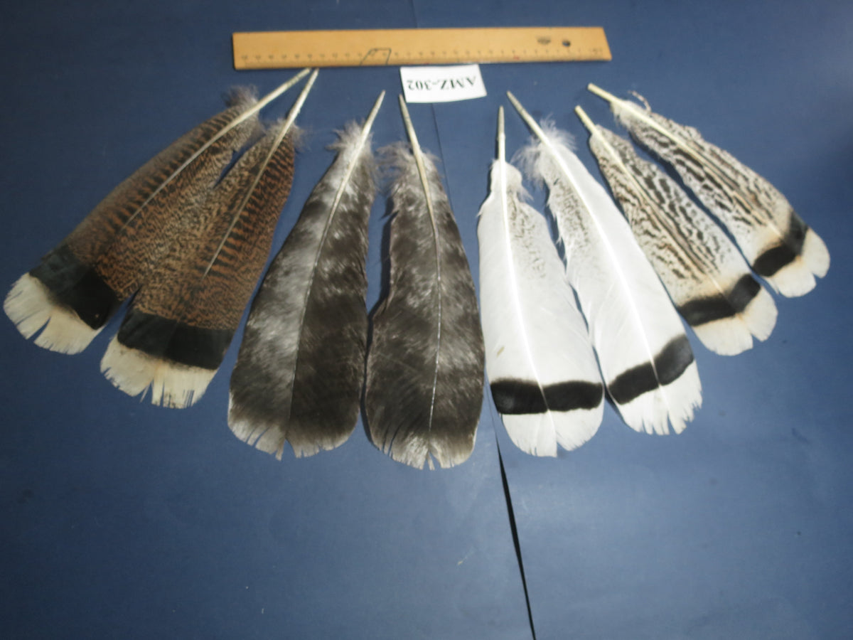 4 Pairs Of Turkey Feathers, Tail Feathers, Fly Tying Materials, Genuine Feathers (AMZ-302)