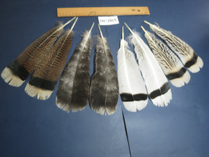 4 Pairs Of Turkey Feathers, Tail Feathers, Fly Tying Materials, Genuine Feathers (AMZ-302)