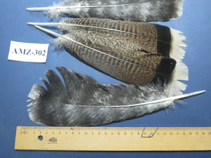 4 Pairs Of Turkey Feathers, Tail Feathers, Fly Tying Materials, Genuine Feathers (AMZ-302)