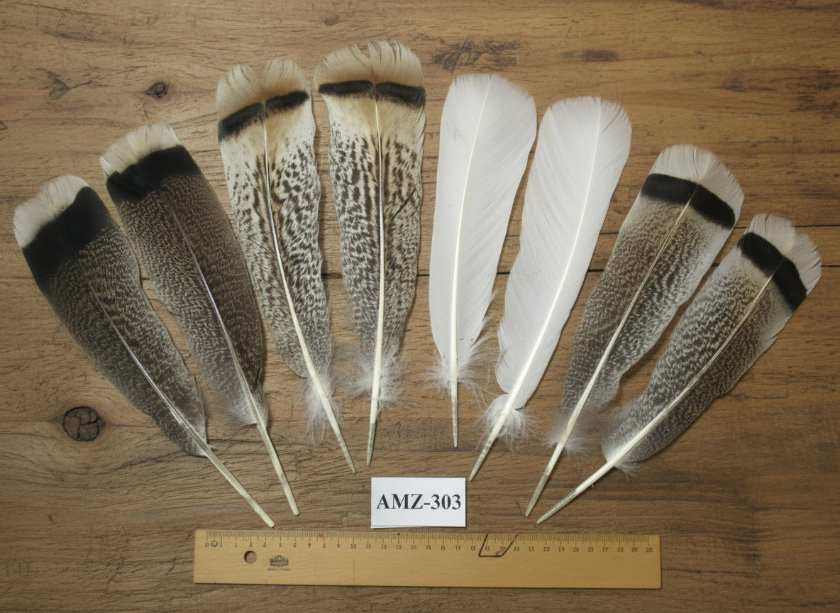 4 Pairs Of Turkey Feathers, Tail Feathers, Fly Tying Materials, Genuine Feathers (AMZ-303)
