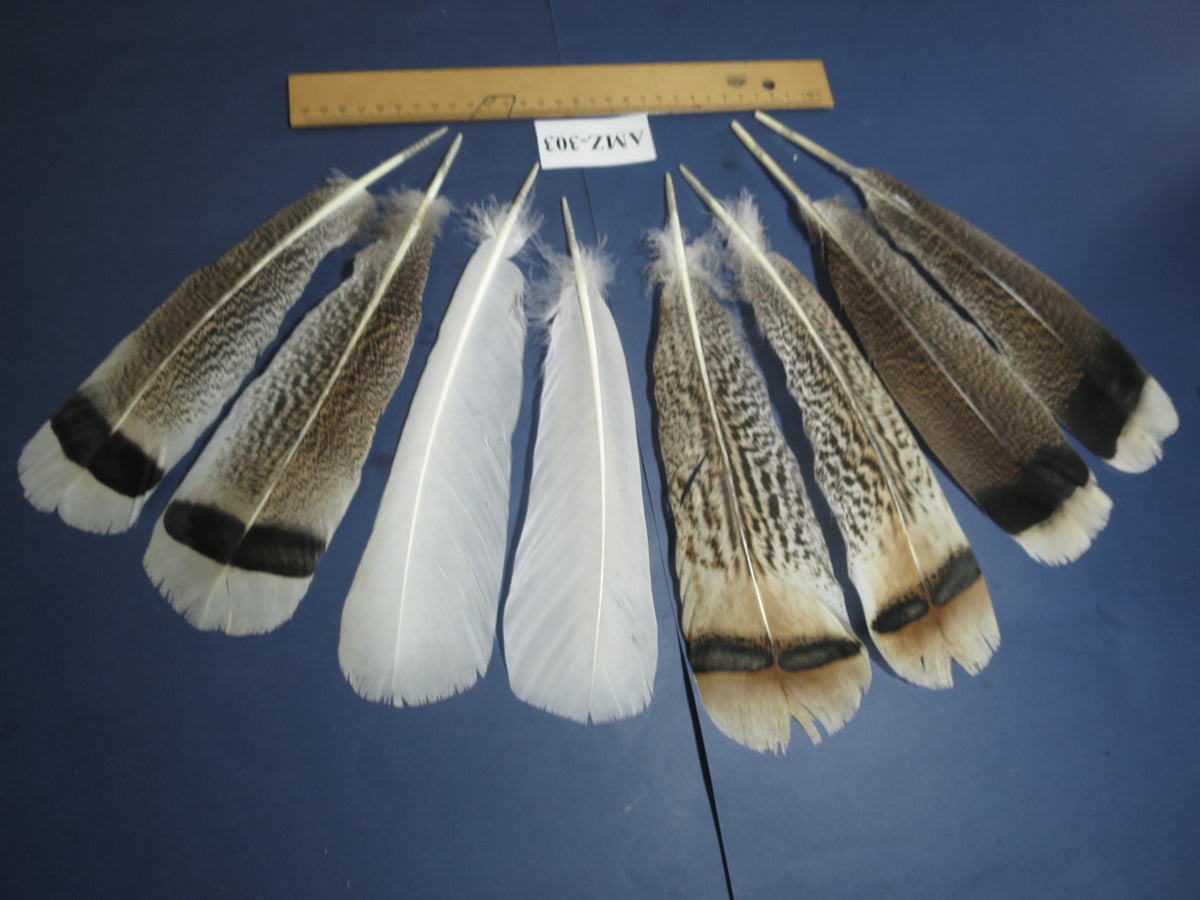 4 Pairs Of Turkey Feathers, Tail Feathers, Fly Tying Materials, Genuine Feathers (AMZ-303)