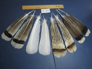 4 Pairs Of Turkey Feathers, Tail Feathers, Fly Tying Materials, Genuine Feathers (AMZ-303)
