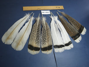4 Pairs Of Turkey Feathers, Tail Feathers, Fly Tying Materials, Genuine Feathers (AMZ-304)