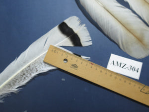 4 Pairs Of Turkey Feathers, Tail Feathers, Fly Tying Materials, Genuine Feathers (AMZ-304)