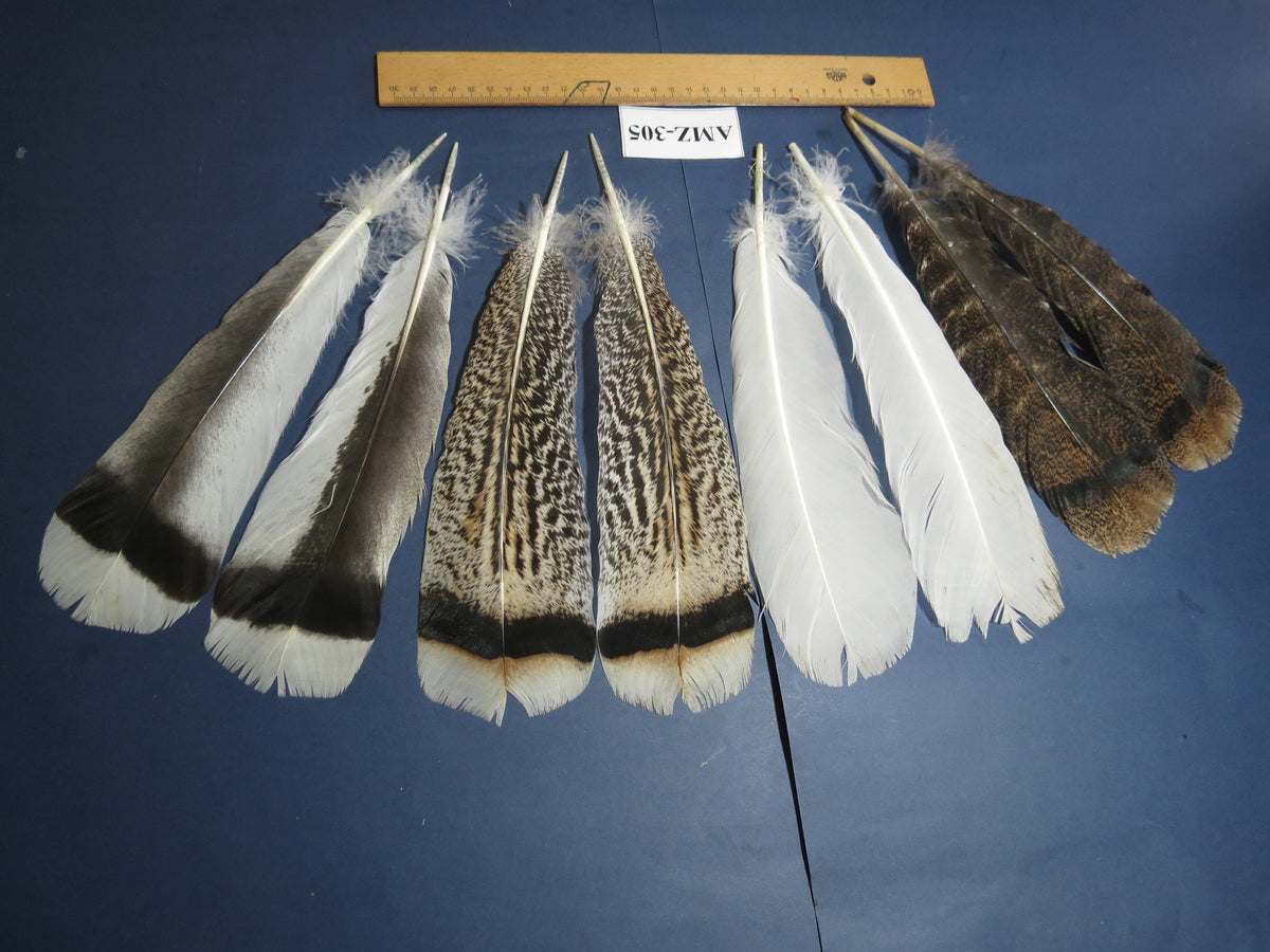 4 Pairs Of Turkey Feathers, Tail Feathers, Fly Tying Materials, Genuine Feathers (AMZ-305)
