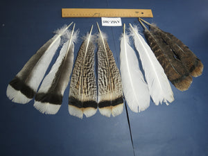4 Pairs Of Turkey Feathers, Tail Feathers, Fly Tying Materials, Genuine Feathers (AMZ-305)