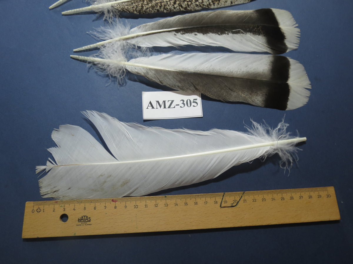 4 Pairs Of Turkey Feathers, Tail Feathers, Fly Tying Materials, Genuine Feathers (AMZ-305)
