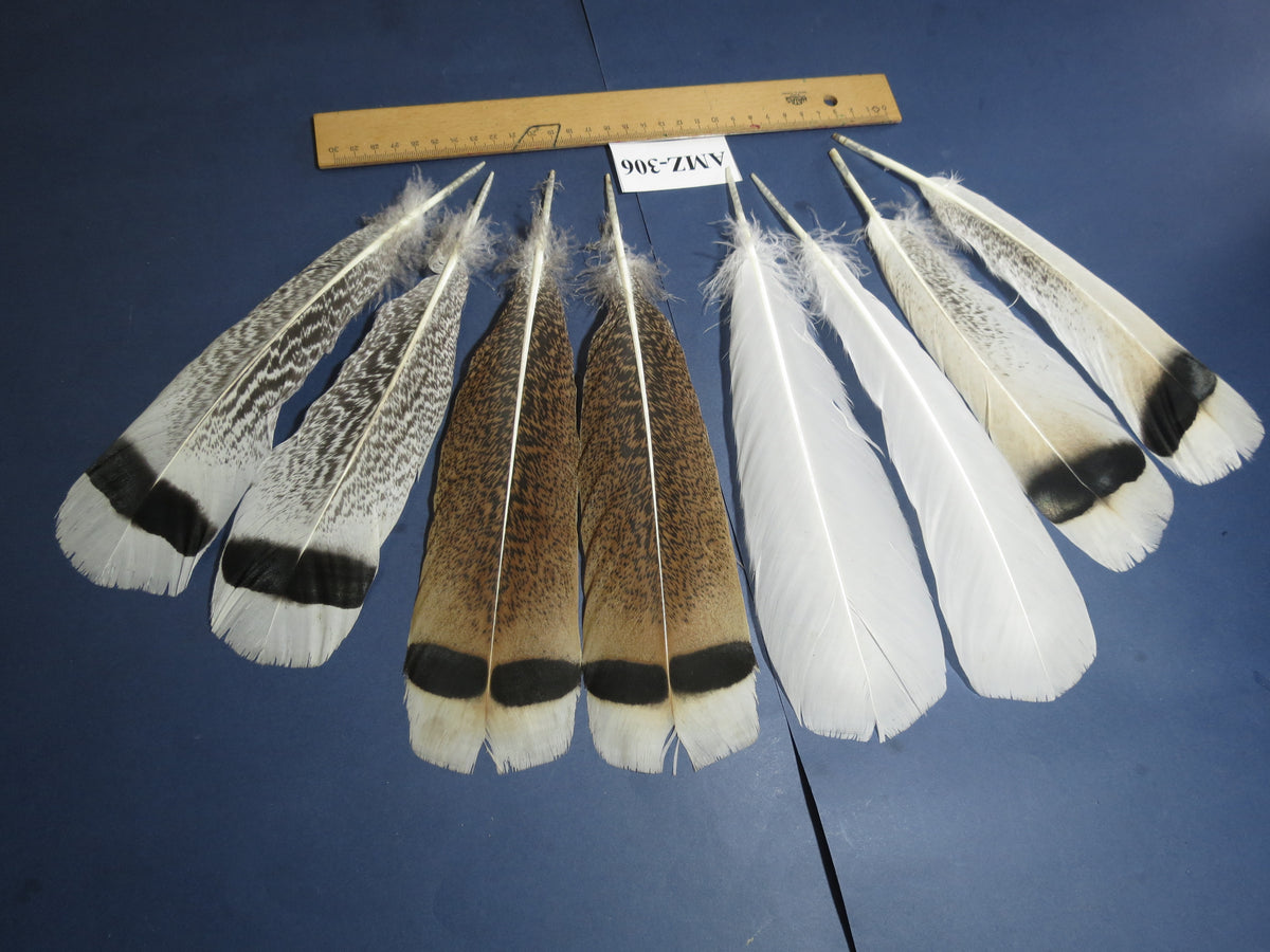 4 Pairs Of Turkey Feathers, Tail Feathers, Fly Tying Materials, Genuine Feathers (AMZ-306)