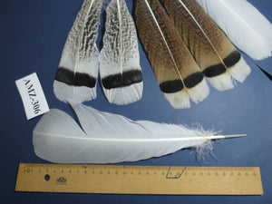 4 Pairs Of Turkey Feathers, Tail Feathers, Fly Tying Materials, Genuine Feathers (AMZ-306)
