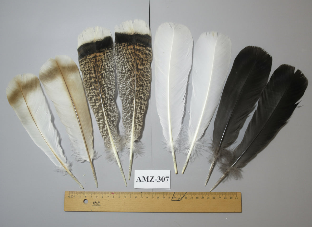 4 Pairs Of Turkey Feathers, Tail Feathers, Fly Tying Materials, Genuine Feathers (AMZ-307)