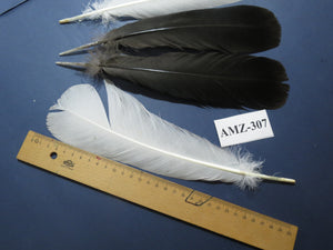 4 Pairs Of Turkey Feathers, Tail Feathers, Fly Tying Materials, Genuine Feathers (AMZ-307)
