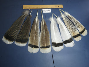 4 Pairs Of Turkey Feathers, Tail Feathers, Fly Tying Materials, Genuine Feathers (AMZ-308)