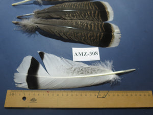 4 Pairs Of Turkey Feathers, Tail Feathers, Fly Tying Materials, Genuine Feathers (AMZ-308)