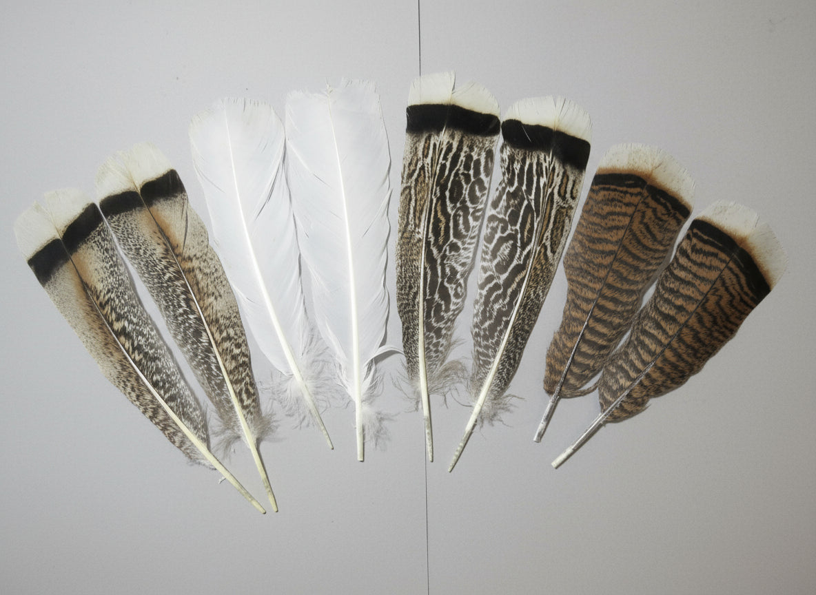 4 Pairs Of Turkey Feathers, Tail Feathers, Fly Tying Materials, Genuine Feathers (AMZ-309)