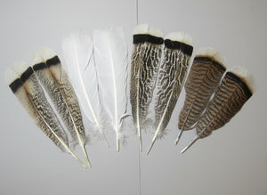 4 Pairs Of Turkey Feathers, Tail Feathers, Fly Tying Materials, Genuine Feathers (AMZ-309)