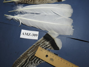 4 Pairs Of Turkey Feathers, Tail Feathers, Fly Tying Materials, Genuine Feathers (AMZ-309)