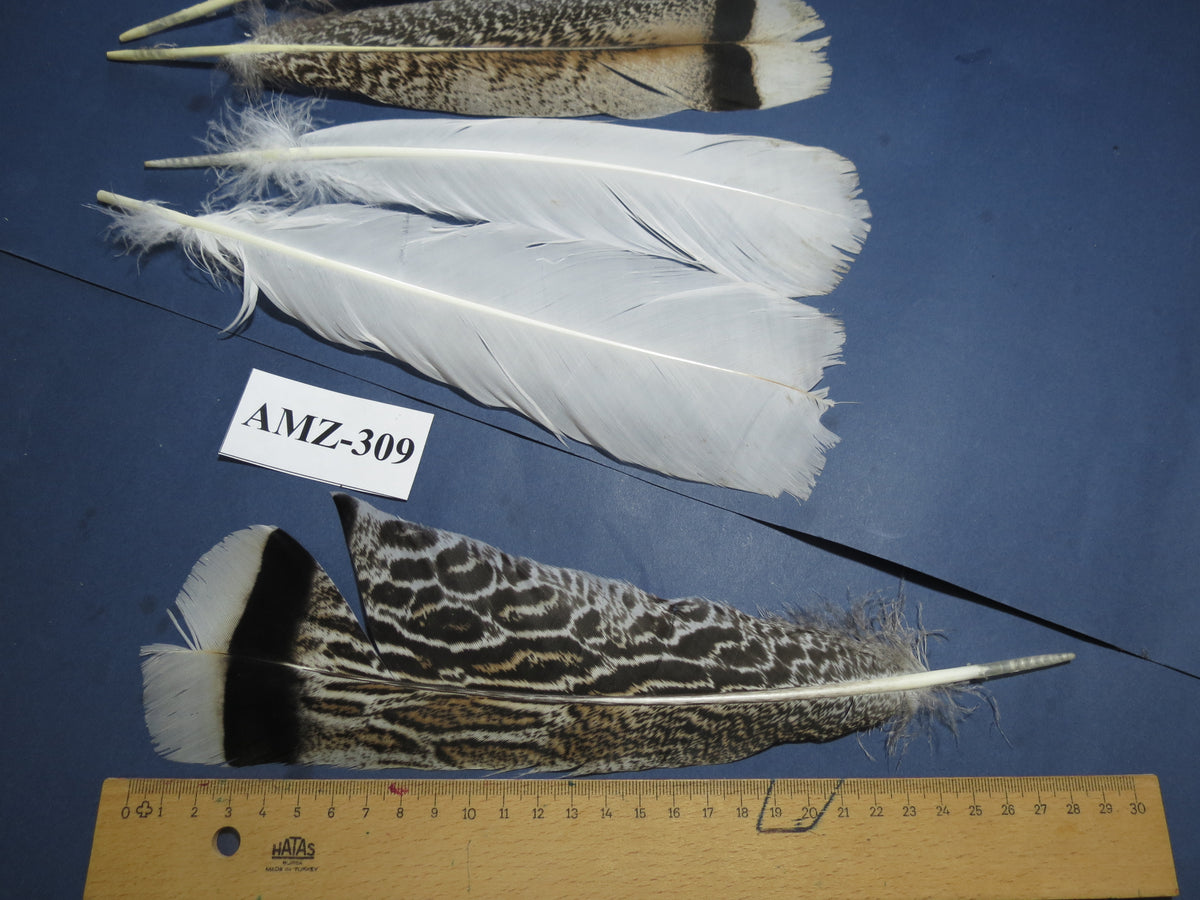 4 Pairs Of Turkey Feathers, Tail Feathers, Fly Tying Materials, Genuine Feathers (AMZ-309)