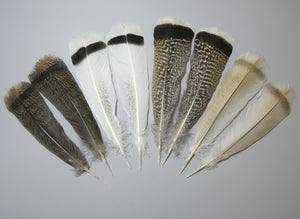 4 Pairs Of Turkey Feathers, Tail Feathers, Fly Tying Materials, Genuine Feathers (AMZ-310)