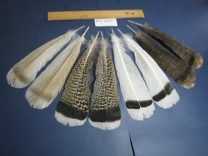4 Pairs Of Turkey Feathers, Tail Feathers, Fly Tying Materials, Genuine Feathers (AMZ-310)