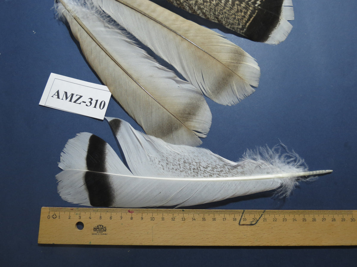 4 Pairs Of Turkey Feathers, Tail Feathers, Fly Tying Materials, Genuine Feathers (AMZ-310)